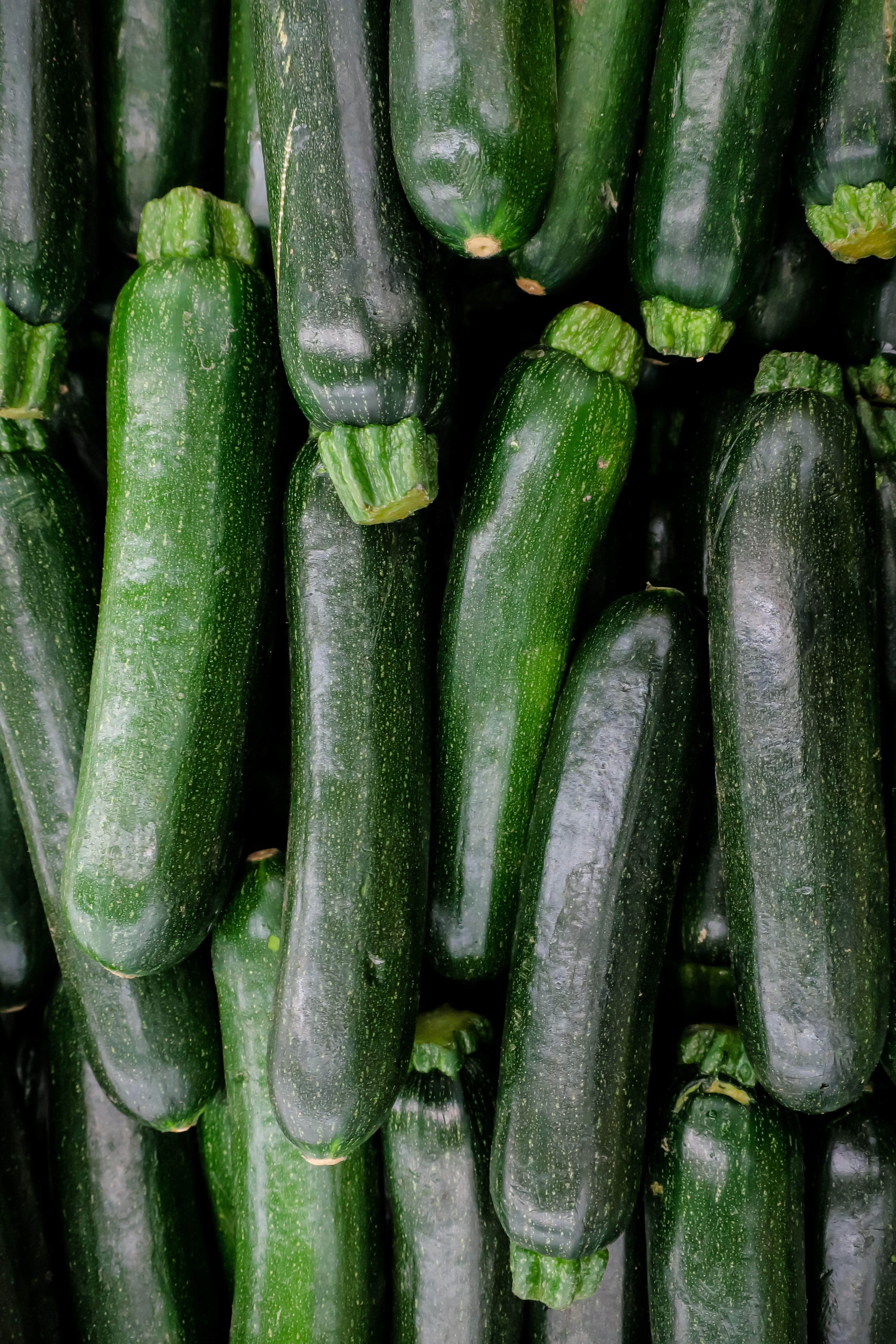 A bunch of dark green zucchini piled on top of each other