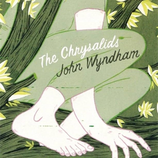 Cover of "The Chrysalids"