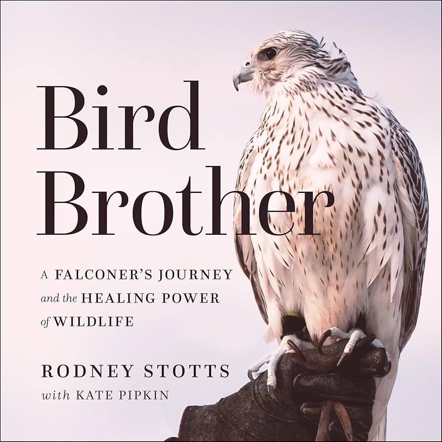 Cover of "Bird Brother: a falconer's journey and the healing power of wildlife" by Rodney Stotts.