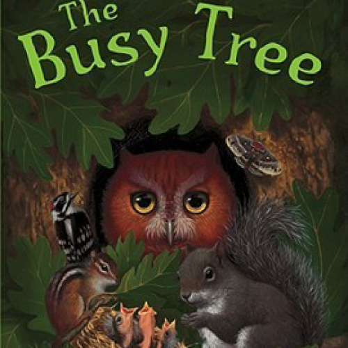 Cover of "The Busy Tree" by Jennifer Ward.
