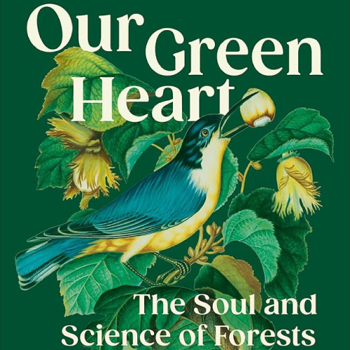 Cover of "Our Green Heart: the soul of science and forests" by Diana Beresford-Kroeger