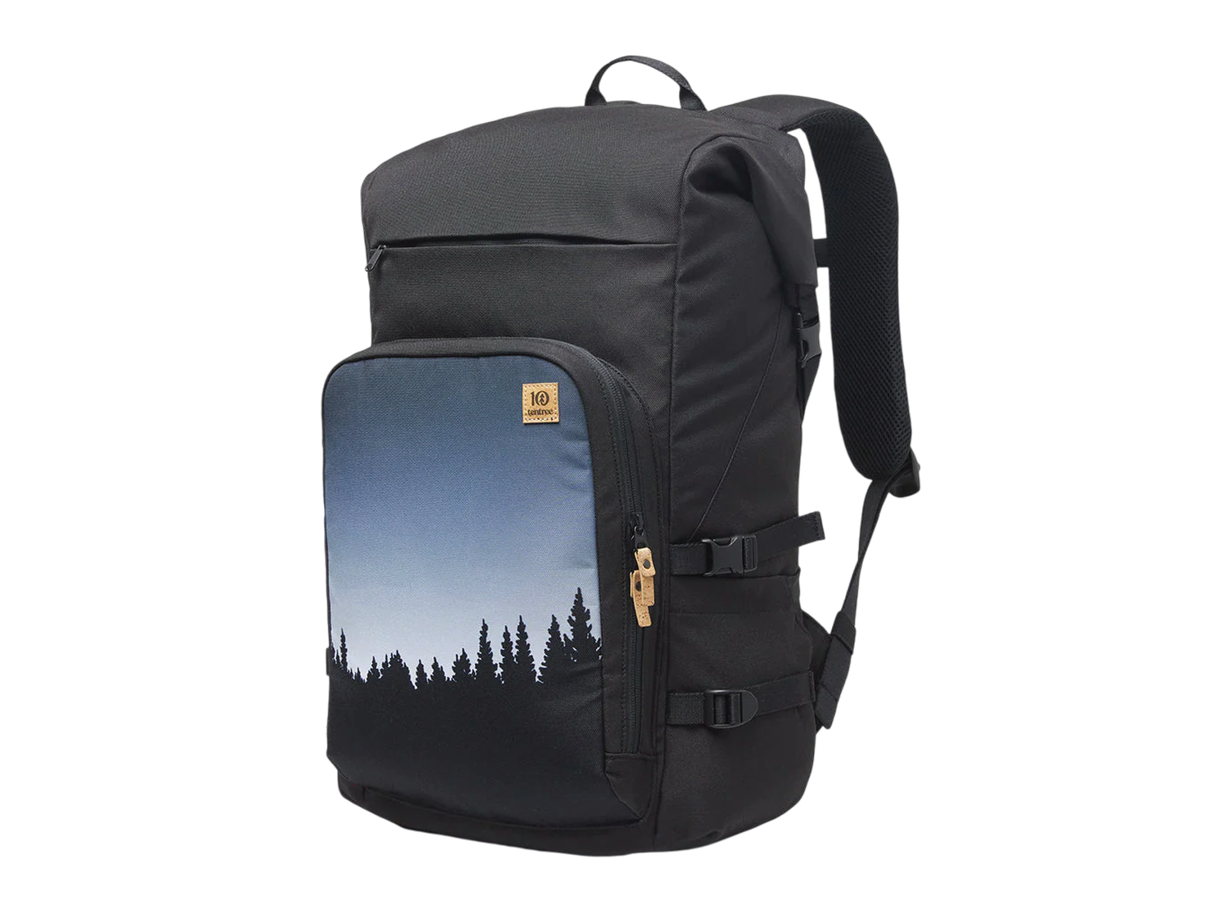 35L Backpack from Tentree